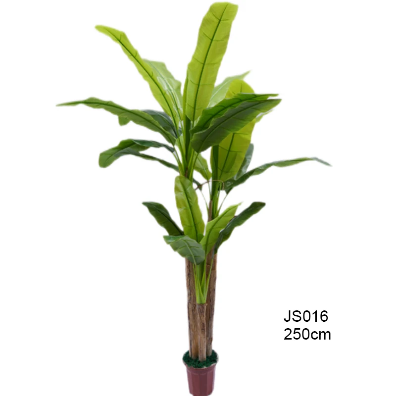 JS016