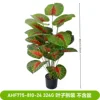 AHF775-810-24