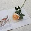 Champagne color