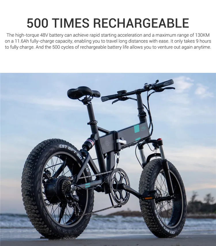 EU Stock FIIDO M21 Electric Folding Bicycle  With Torque Sensor 20" Tires 500W Motor 48V 11.6AH Battery  Ebike