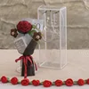 Dk red rose