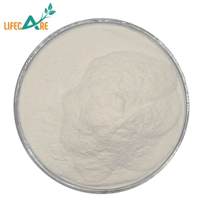 Food Additive Tragacanth Gum Powder High Quality Gum Tragacanth