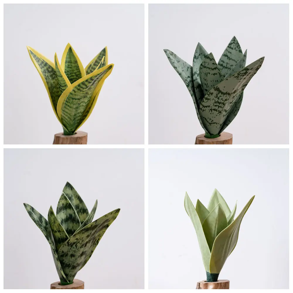zimmerpflanze exotisch Hawaii Palme Brighamia Insignis ca 40 cm – Vulkanpalme Zimmerpflanze  exotisch im 12 cm Topf main image 1
