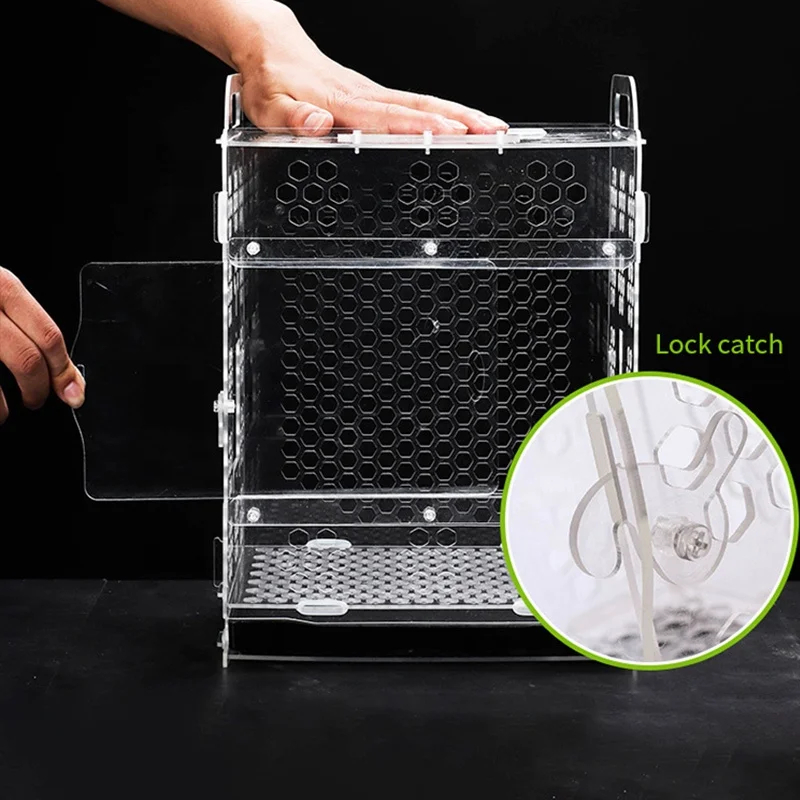 Sale of High Quality Small Bird Cage Bird Cages for Sale Birds