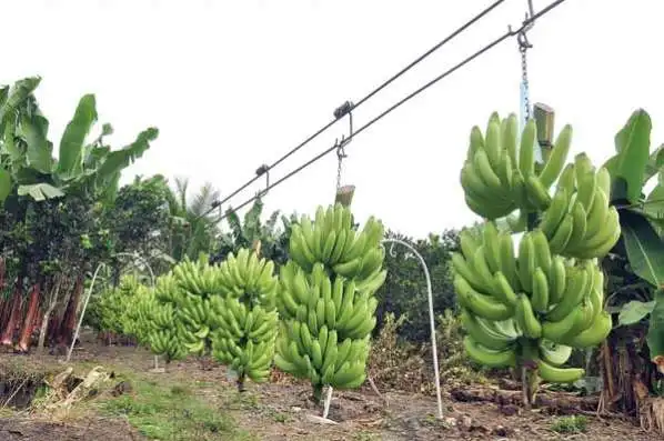 ぱななページ 泡沫横形パイプ | 商品のご案内 | SANEI｜デザイン性に優れた水