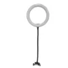 20cm Desktop Clip-on Light