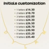 Support Customized