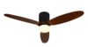 Brown+Black