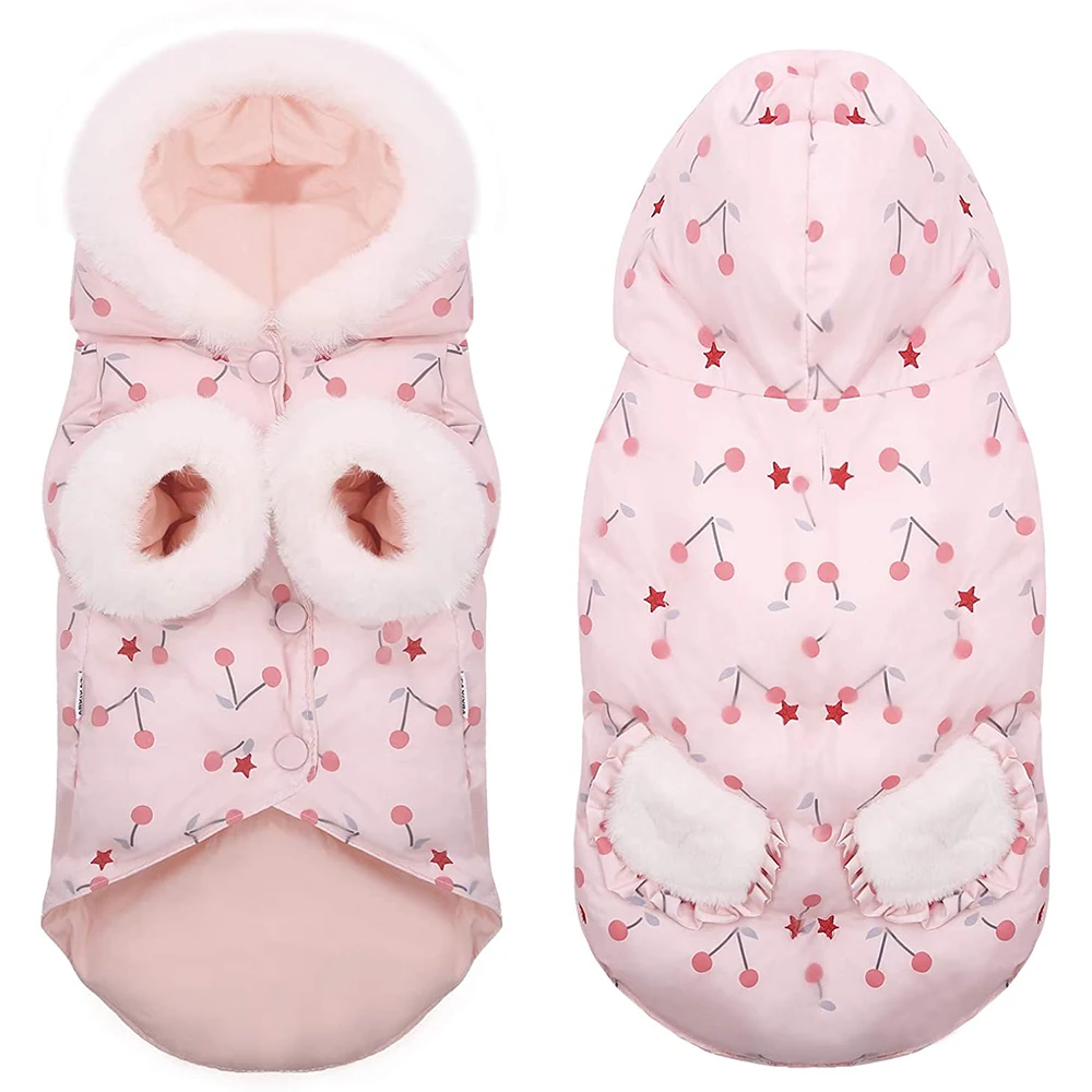 daily paper stay informed moletom com capuz