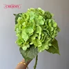 ช่อลาเวนเดอร์