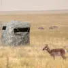 CAMOUFLAGE