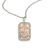 N3797_Silver_Cancer