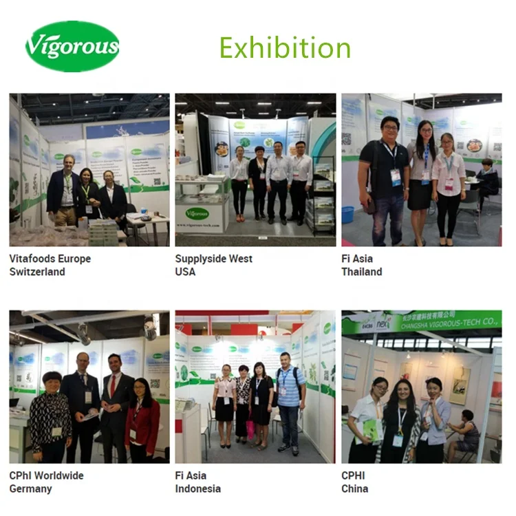 101 Althaea Officinalis Powder Water Soluble Organic Marshmallow Root Extract For Health Buy