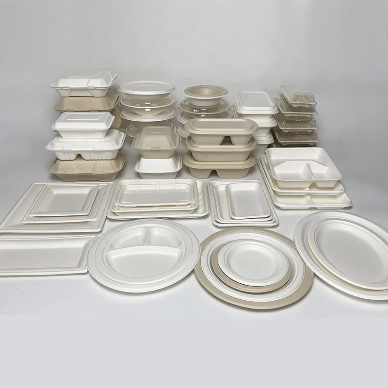 Degradable Disposable Biodegradable Take Away Package Picnic Zuckerrohr Teller Bagasse Sugarcane Sugar Cane Pizza Paper Plate