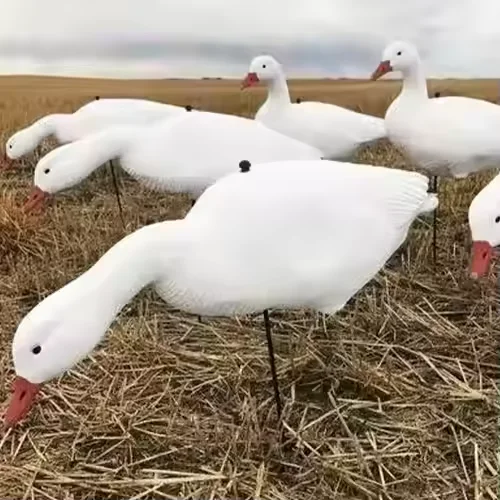 EVA or XPE Foam Hunting Goose Decoys Snow Goose Decoys 3D Deer Hunting Decoys  for Wild Hunting OEM