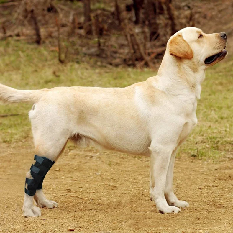 Dog Leg Braces For Back Leg Wrap Hock Compression Protects Wounds Helps Heal Hind Legs Rear Ankle Joint