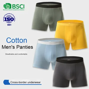 2026 European American Men's Boxer Briefs Pure Cotton Summer Sports Underwear Mid-rise Plus Size New for Foreign Trade