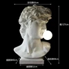 Avatar David 1,27 m + ampoule