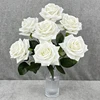 Bianco crema
