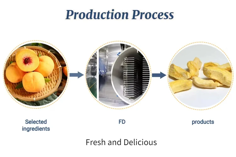 China Freeze Dried Yellow Peach Slices Factory | Bulk Wholesale Hfba526df1fe44ed8b4e1b5cc42426d48y