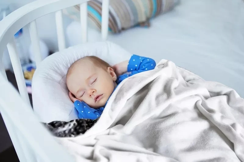 Wholesale 100 Polyester Baby Blanket Super Soft Sublimation Fleece