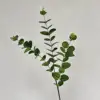 3 forks long branch money leaf dark green