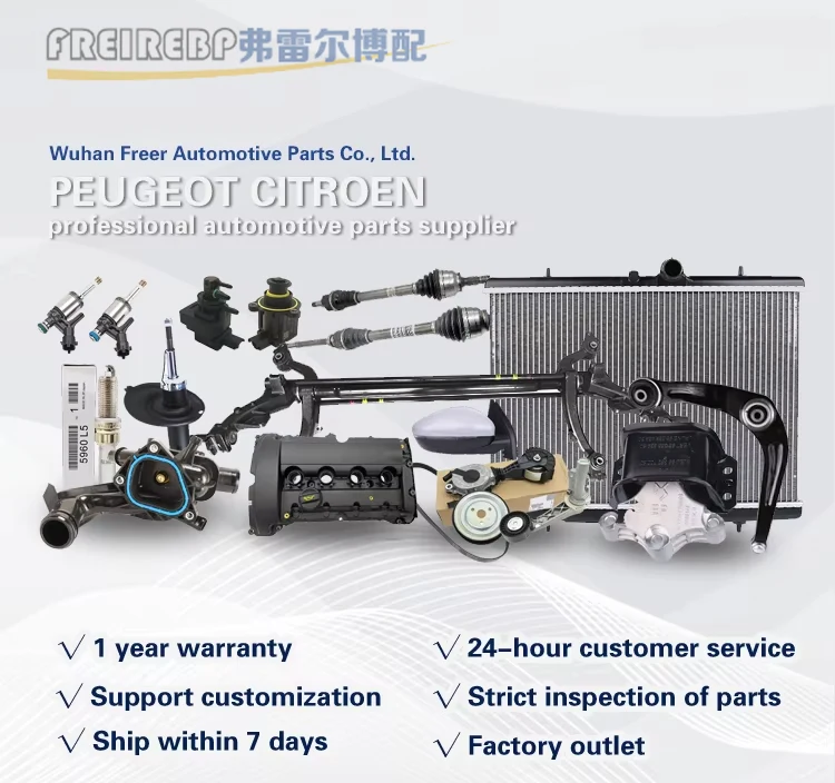 OE 9807481480 9807481380 Car Shock Absorbers for Peugeot