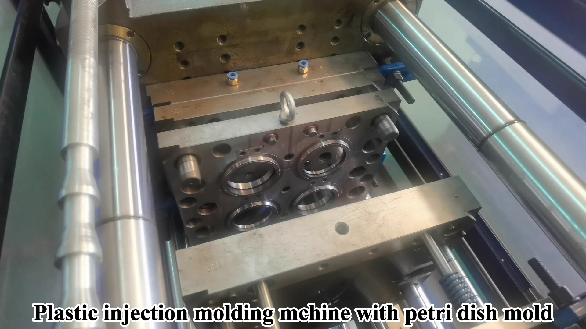 Good Price Disposable Transparency Ps Plastic Medical Laboratory Cell