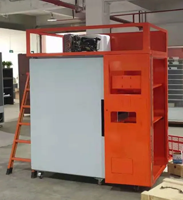 Design Brand New High Quality Automatic Pizza Vending Machine with Online Control and Manage System