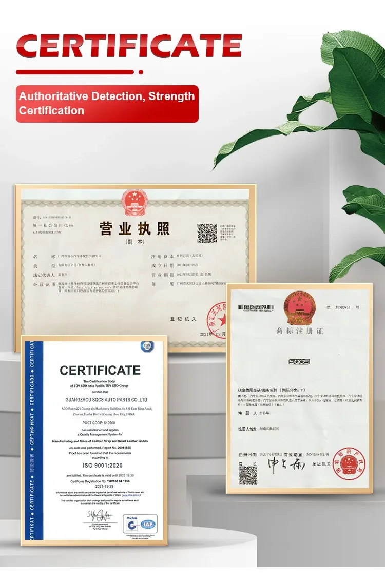 SQCS Professional Sliding Door Roller Middle Guide Rail OE9067603247 with 6 Month Warranty and 100% Tested for Mercedes Benz Sprinter W906