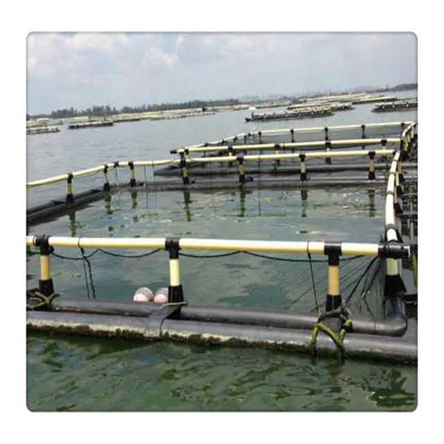 HDPE Square Floating cage Fish Fingerling Culture for Commercial