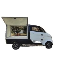 Одобренный EEC низкоскоростной электрический грузовик пикап с холодильником