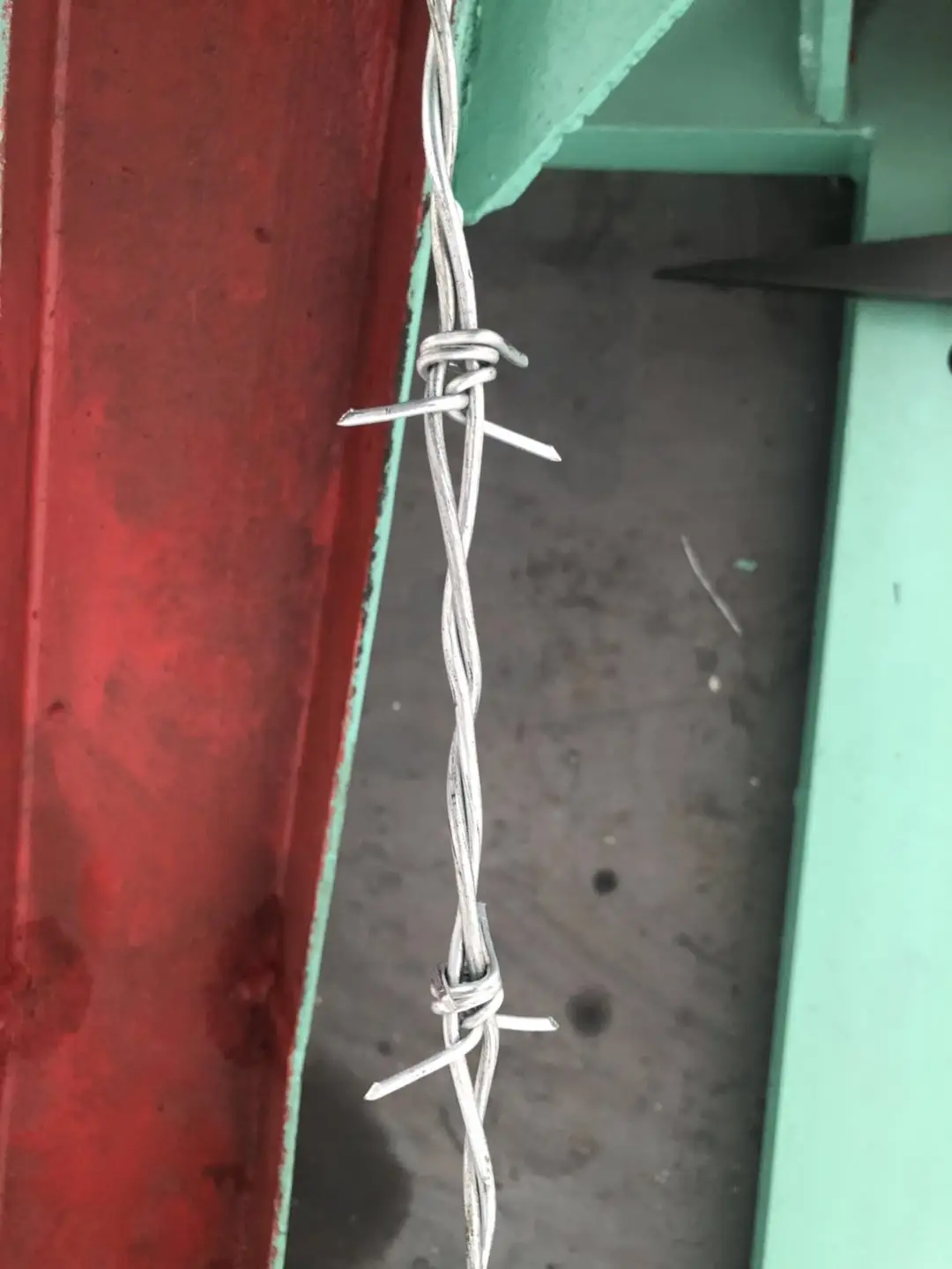 _20210130085921.jpg