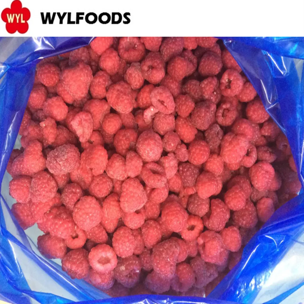 Best Price of Frozen Raspberry Whole for in Bulk Wholesales