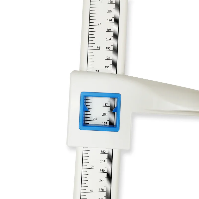 210cm 1.jpg
