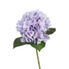 Purple 7
