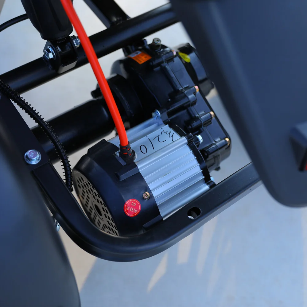 Electric Motorcycle Tricycle - 800W Motor & 3 Wheels