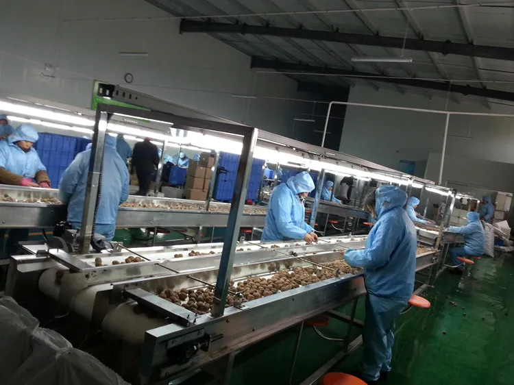 Henan Alchemy Food Co., Ltd. 1