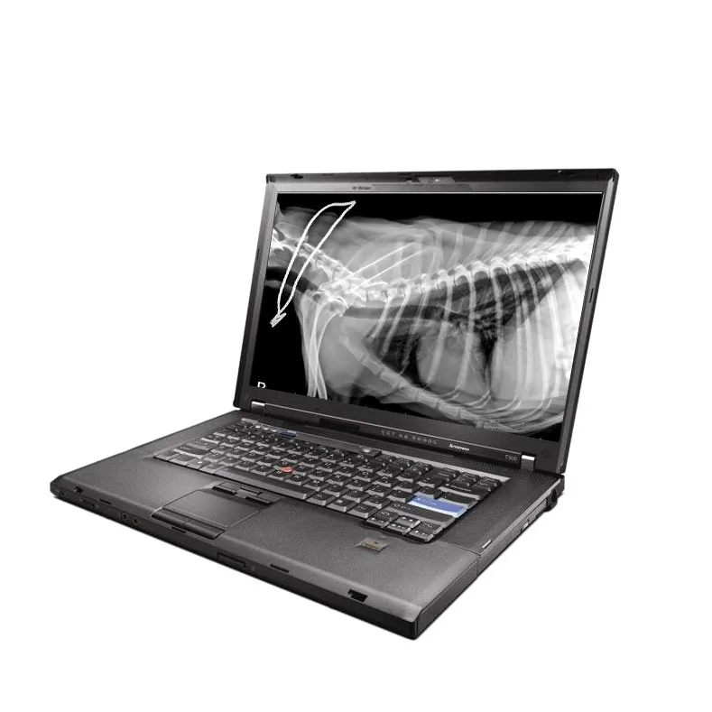 Portable Digital 4KW 60mA Radiology Dog Cat Horse Veterinary X Ray Machine for Animals