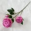 rosa scuro