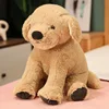 Labrador golden retriever-40cm-0.3kg