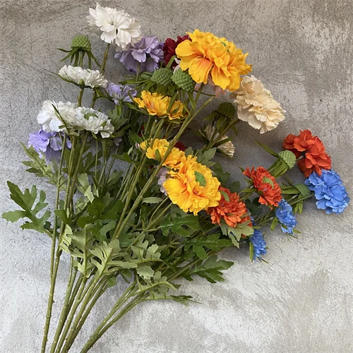 Bring Lente binne Al Die Tyd