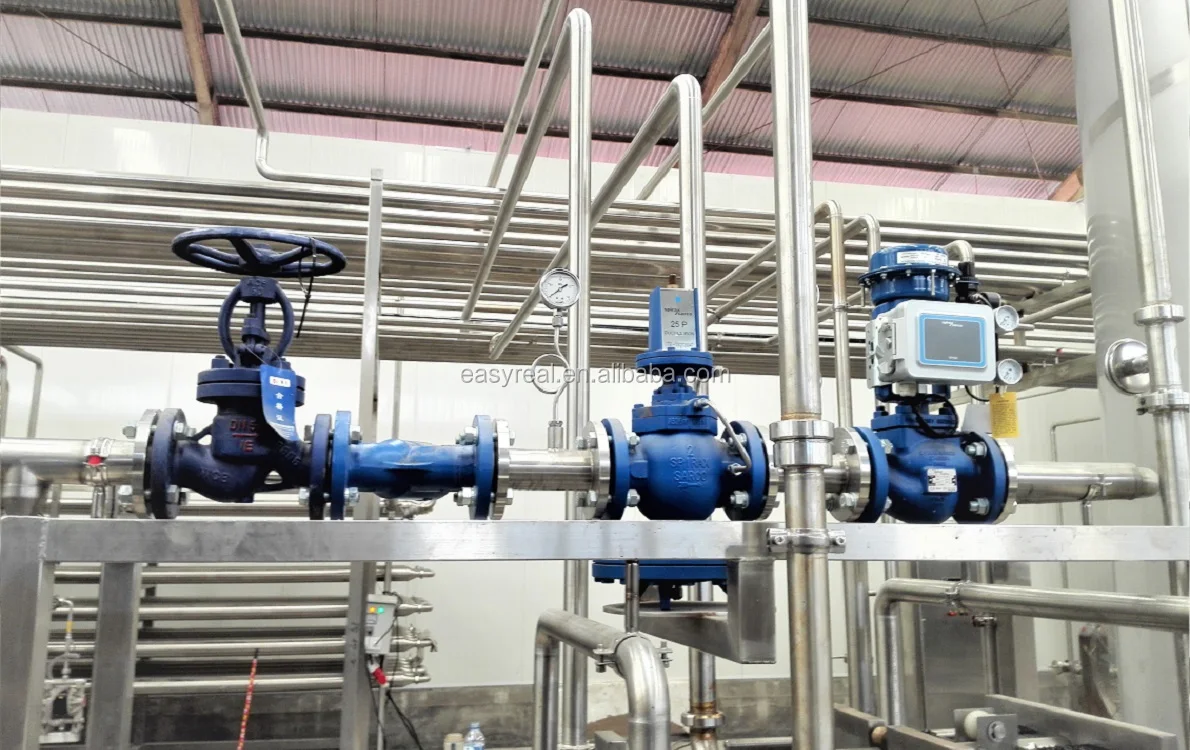 Индивидуальный автоматический полу. SUS304 оборудование для очистки фруктового сока, напитков, молока, питьевой воды