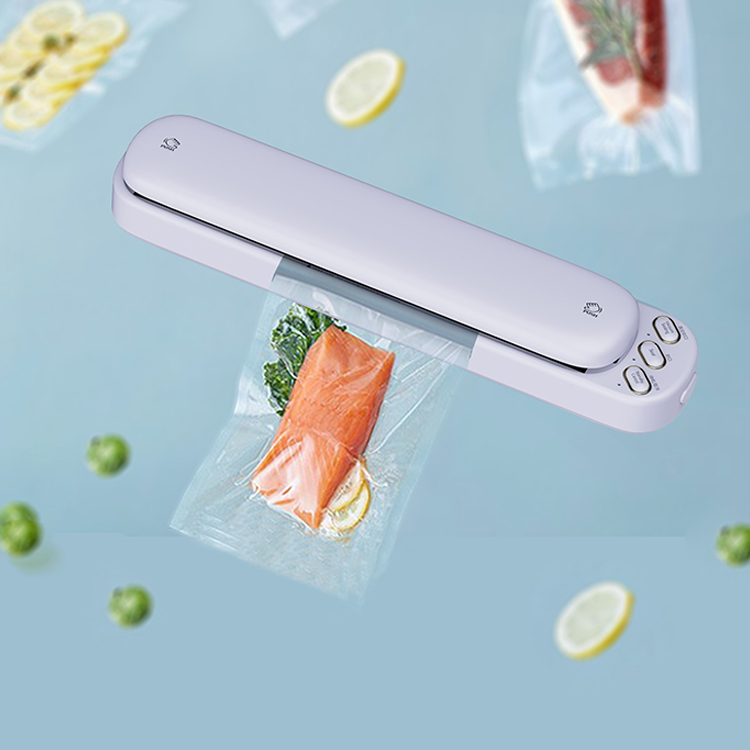 Профессиональный пищевой вакуумный упаковщик, сухой и влажный пищевой вакуумный упаковщик с одной кнопкой