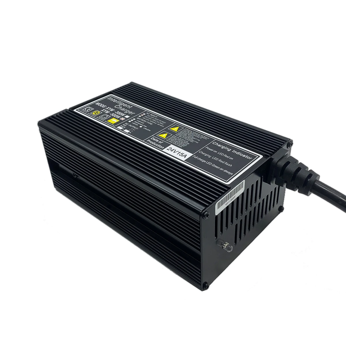 Customized High Power Fast Charging 13S 54.6V Lithium Ion Battery Chargers 48v 6A Lifepo4 Charger