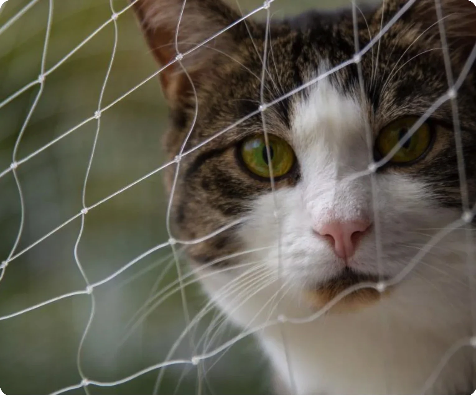 3x8m Strong Safety Cat Net Balcony Transparent Mesh Heavy Duty Protect