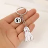 Les termes de la chaîne sont des frais de peluche blancs