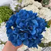 #12 blu scuro