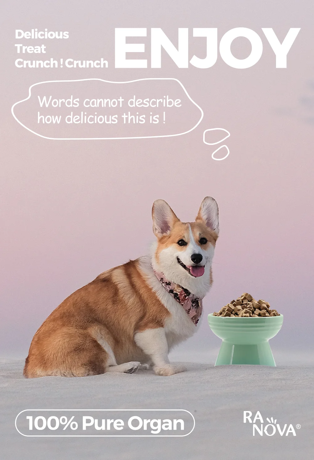 Ranova Cat Snacks Vitamins Cat Food High Quality Cat Food Snacks Bulk