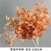 Qingdao Yeqiu style, brown